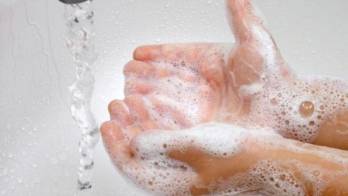 Debe lavarse las manos cada vez que manipula alimentos, come o va al baño.