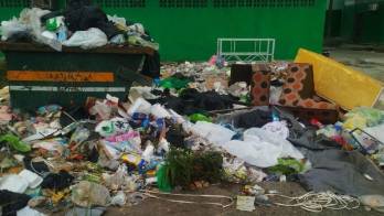 Los basureros se han convertido en nidos de ratas.