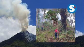 Unos 60 trabajadores colocan cortafuegos para tratar de mitigar el avance de las llamas.
