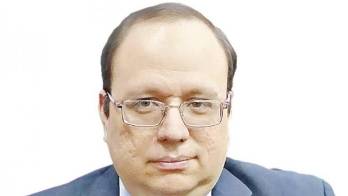 Lobos cuidando ovejas