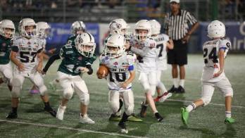 El objetivo general es desarrollar un nivel formativo.