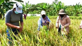 Pequeños productores serán beneficiados.