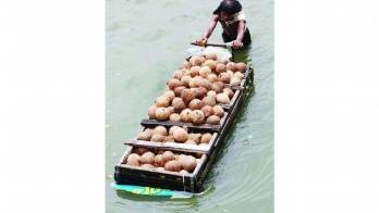 El evento es organizado por el MIDA.