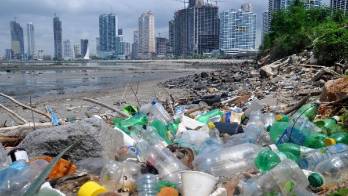 No contamine las playas con botellas o basura, los peces morirán por esto.