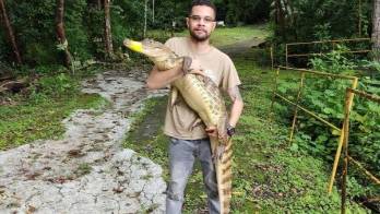 John Cleghorn lucha por la conservación de los reptiles