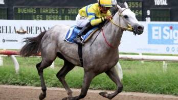 ‘Calínico' ganador en 2015.