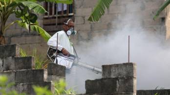 En el 2016, en el distrito no se diagnosticó este virus.