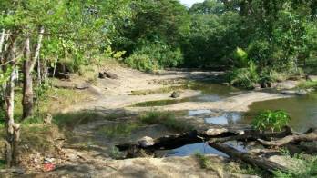 El 2019 será el año más caliente por el fenómeno El Niño