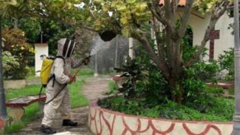Abejas africanas meten miedo en el interior del país