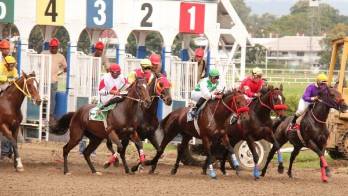 ¡Regresa el público!