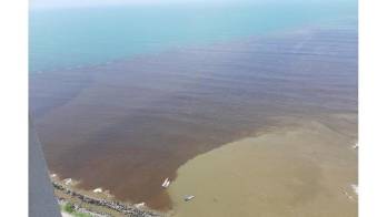 Reportan mancha oscura en costa de la Bahía de Panamá