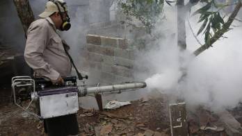En el barrio San Cristóbal nueve de cada 100 viviendas tenían criaderos.