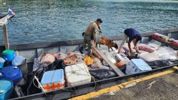 El decomiso se dio en la comarca de Guna Yala