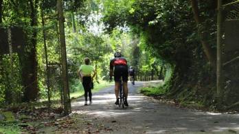 Trabajos por rehabilitación del camino.