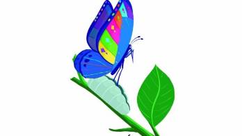 La mariposa de siete colores