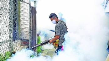 Minsa mantiene un monitoreo por casos de malaria y dengue