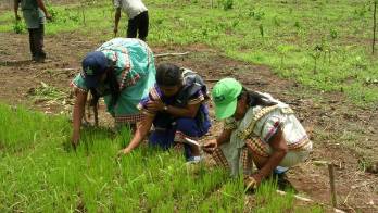 Los productores se declaran en alerta contra posibles importaciones y aumentos de precio a consumidores.