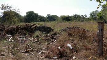 Terrenos estatales donde se pretende construir el Parque Municipal del Este.