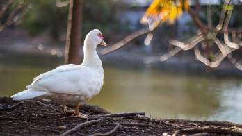Cada amanecer brillará con la intensidad que cada persona le ponga para lograr sus objetivos y metas.