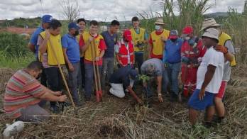Realizan jornada de reforestación