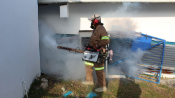 San Miguelito registra 98 casos de dengue&nbsp;