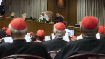 El papa celebrará hoy con todos los cardenales una misa en la basílica de San Pedro en El Vaticano.