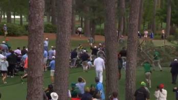 El árbol cayó muy cerca de donde estaban decenas de personas.