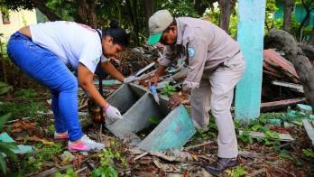 Las primeras infestación de CHIKV se registró en mayo del 2014.