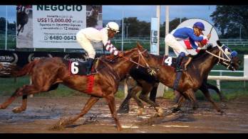 ‘Tigre Mono', ‘Dynamo' y ‘Chantik' saldrán de los carriles intermedios en el importante evento.