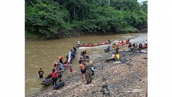 En lo que va del presente año han ingresado por la frontera del Darién 232 mil 688 personas.