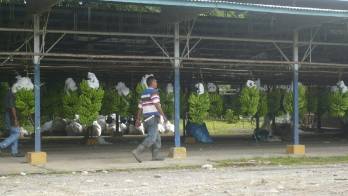 Se espera generar 3,100 empleos directos y 12 mil indirectos.