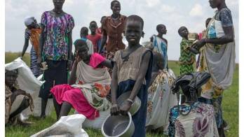 Esperan su ración de alimentos después de un lanzamiento desde el aire.