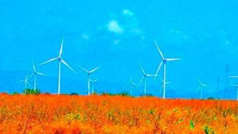 El próximo jueves 4 de abril se efectuará una reunión aclaratoria.