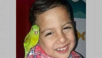 Festival de la Alas en el Parque Summit, para el cierre de las vacaciones escolares