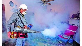 Las autoridades piden &nbsp;a la población tomar conciencia y erradicar criaderos.