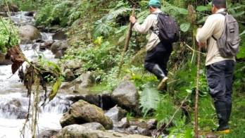 Guarda parques y la Policía Ambiental.