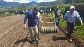 Siembra directa de cebolla.
