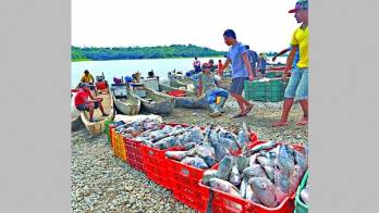 Participaron nueve gremios de pesca