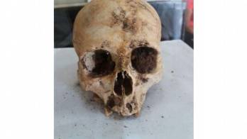 ¡Terrible! Un perro mordía un cráneo en La Paz de Arraiján