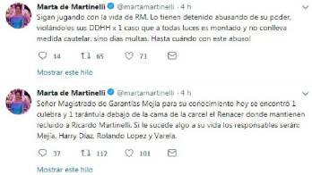 Culebra y tarántula debajo de la cama de Ricardo Martinelli&nbsp;