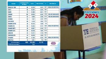 Primarias de CD: 16% de participación al primer corte del TE