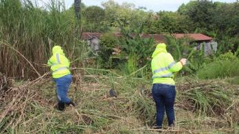 Amplían derecho laboral.