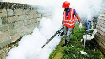 Minsa aplica fumigación en varias zonas para acabar el insecto.
