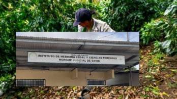 ​Mujer parió bebé y su papá lo enterró en un cafetal en Chiriquí