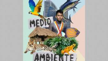 Durante seis días realizarán festival de cine