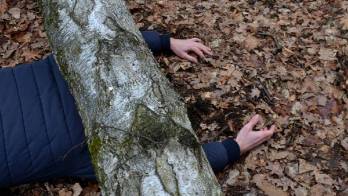 El árbol que cortaba lo mandó a la tumba