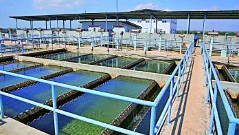 El fallo en una de las bombas de agua de la planta se dio por fluctuaciones en el voltaje.