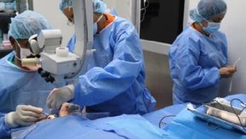 Al menos 225 personas están en espera de trasplante renal