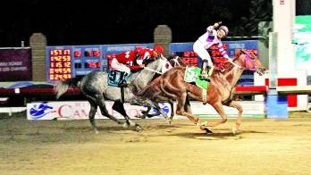 Seguimos reinando en el Caribe