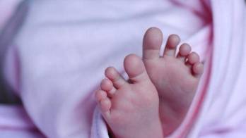 Nueve neonatos murieron en la CSS.